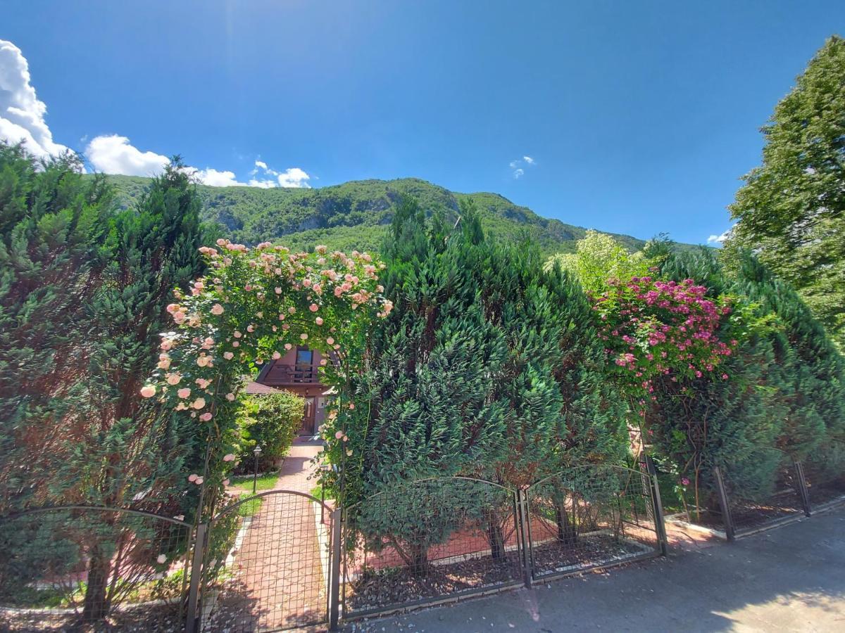 Viola I Detelina Apartments Перучац Экстерьер фото
